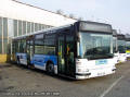 Citybus 174